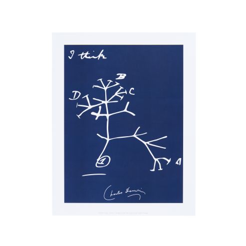 Charles Darwin I Think Art Print